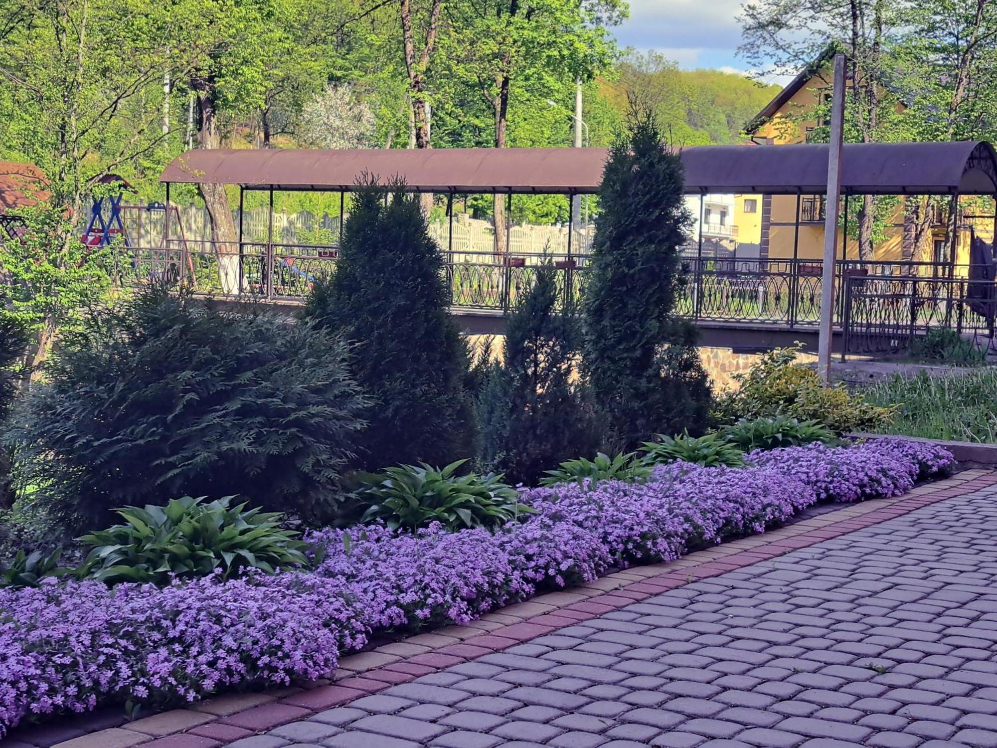 Hotel Сонячна Соната Poljana Exterior foto