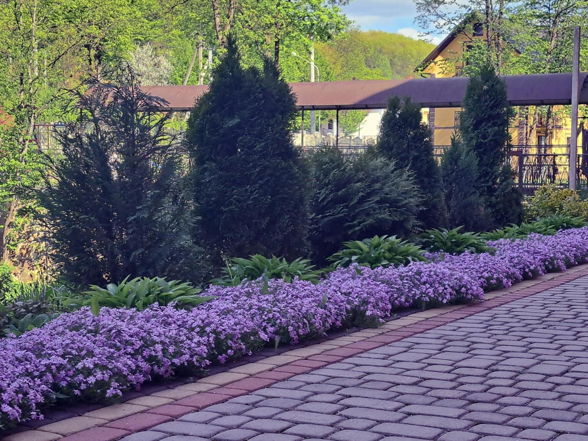 Hotel Сонячна Соната Poljana Exterior foto